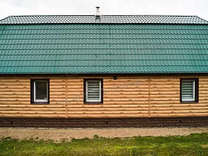 Жилой дом с зеленой крышей
